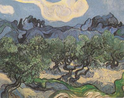 Vincent Van Gogh Olive Trees with the Alpilles in the Background (nn04) Norge oil painting art